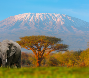 ken tours destinations 312 x 311 px 312 x 274 px 2