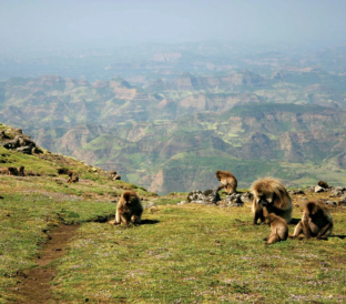 ken tours destinations 312 x 311 px 312 x 274 px 6