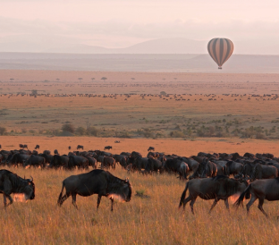 ken tours destinations 312 x 311 px 312 x 274 px