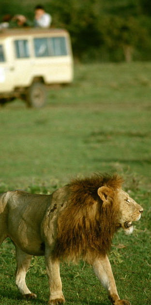 ken tours destinations 312 x 311 px